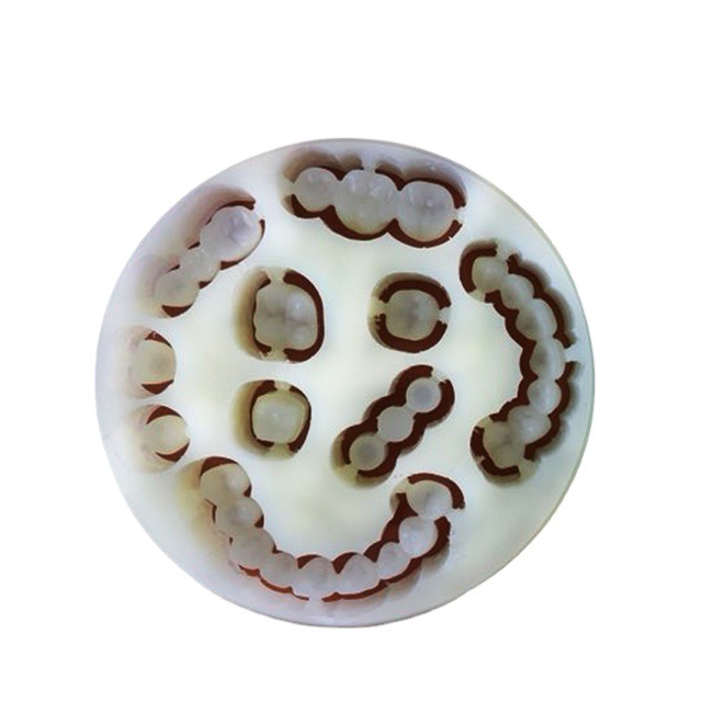 Material para Dentadura Flexível 16 Cores Rosa Transparente Disco Flexível PMMA Dental